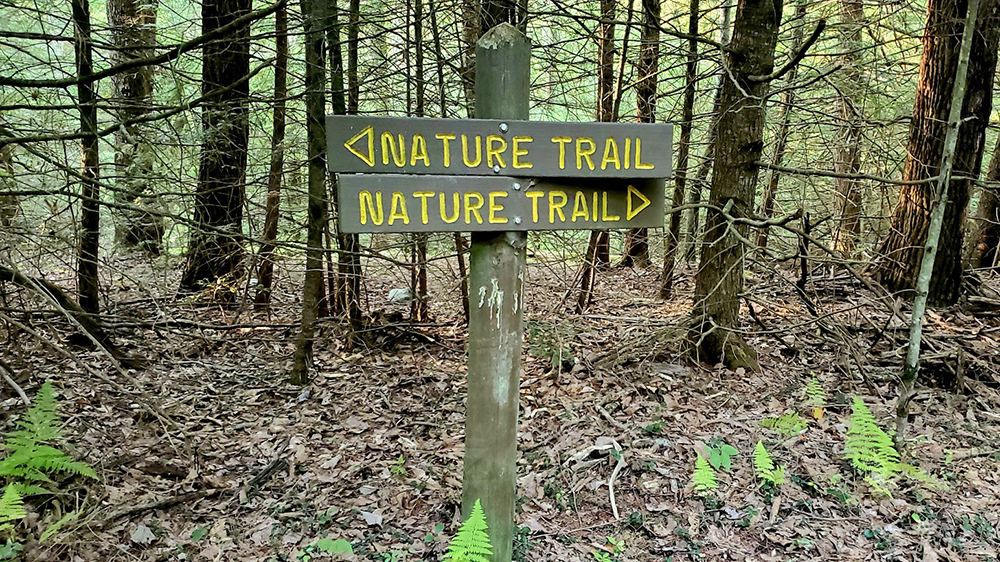 Jim thorpe, pa