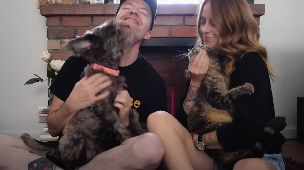 Touché Amoré - "Reminders" video