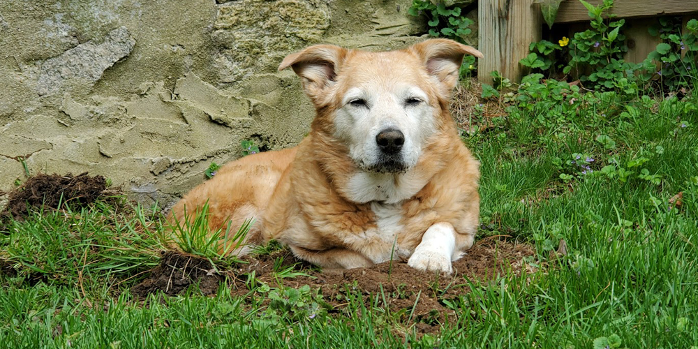 Shelby and her hole.