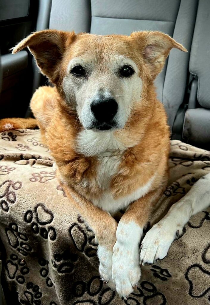 Received 273759995250965