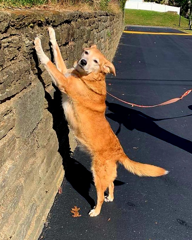 Received 309044311062332