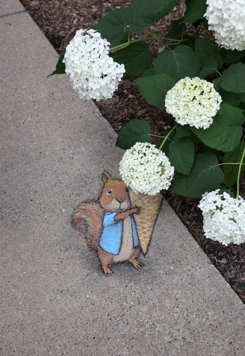 Blooming cone squirrel by david zinn 960x1393