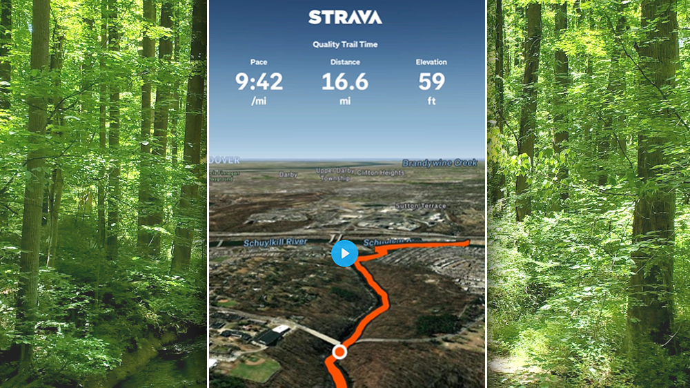 Header strava