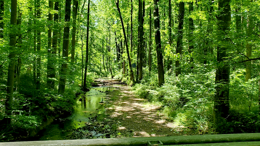 Spring path